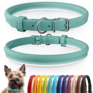 Rolled Leather Pet Collar in Mint Green
