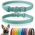 Rolled Leather Pet Collar in Mint Green