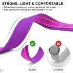 Reflective Neoprene Dog Collars with ID Tags - 2 Pack