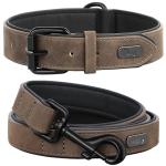 Didog Padded Leather Dog Collar and Leash Set