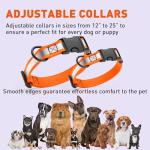 Reflective Waterproof Dog Collar in Fun Colors