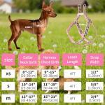 Leopard Dog Harness Collar Leash Set for Small Dogs