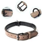 Custom Engraved Dog Collars with Name & Number