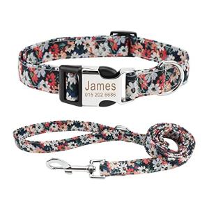 Custom Engraved Dog Collar and Leash Set