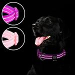 Reflective Neoprene Dog Collars with ID Tags - 2 Pack