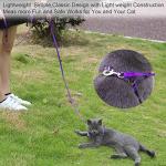 AMAGOOD 6 FT Strong Cat Leash and Collar