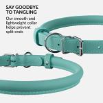 Rolled Leather Pet Collar in Mint Green
