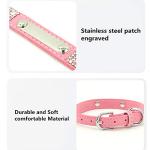 Personalized Rhinestone Dog & Cat Collar and Leash Set