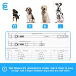 Personalized Turquoise Martingale Dog Collar for Safety