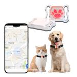 GPS Pet Tracker Collar - No Monthly Fee
