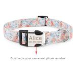 Custom Engraved Dog Collar and Leash Set