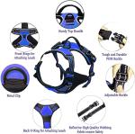 Custom Dog Harness and Leash Set with Name