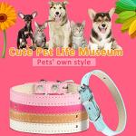 Colorful Adjustable Pet Collars - 16 Pack