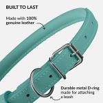 Rolled Leather Pet Collar in Mint Green