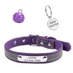 Custom Reflective Cat Collar with Name Tag