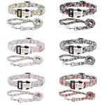 Custom Engraved Dog Collar and Leash Set