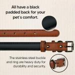 Personalized Engraved Vegan Leather Dog Collar