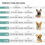 Rolled Leather Pet Collar in Mint Green