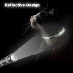 Custom Reflective Cat Collar with Name Tag