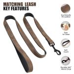 Didog Padded Leather Dog Collar and Leash Set