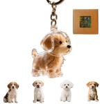 Pet Hair Key Chain Storage for Dog Lovers