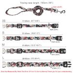 Custom Engraved Dog Collar and Leash Set