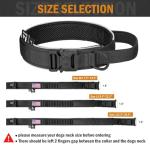 Adjustable Tactical Dog Collar and Leash Set