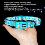 Floral Dog Collar and Leash Set with Reflective Strips