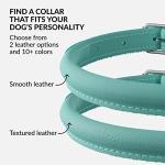 Rolled Leather Pet Collar in Mint Green