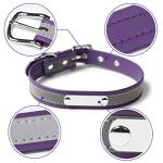 Custom Reflective Cat Collar with Name Tag