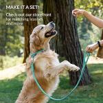 Rolled Leather Pet Collar in Mint Green