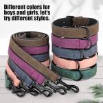 Didog Padded Leather Dog Collar and Leash Set