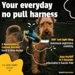 Personalized Blue LED No-Pull Dog Harness