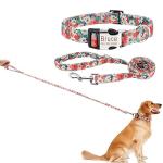 Custom Engraved Dog Collar and Leash Set