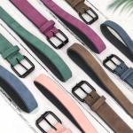 Didog Padded Leather Dog Collar and Leash Set