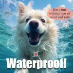 GPS Pet Tracker Collar - No Monthly Fee