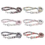 Custom Engraved Dog Collar and Leash Set