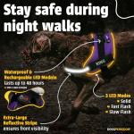 Personalized Blue LED No-Pull Dog Harness