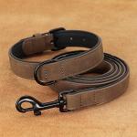 Didog Padded Leather Dog Collar and Leash Set