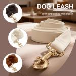 Custom Engraved Velvet Dog Collar and Leash Set