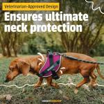 Personalized Blue LED No-Pull Dog Harness