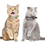 Custom Reflective Cat Collar with Name Tag