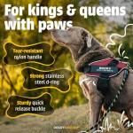 Personalized Blue LED No-Pull Dog Harness