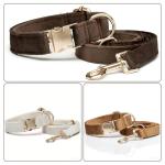 Custom Engraved Velvet Dog Collar and Leash Set