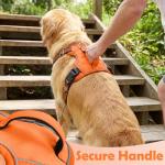 Adjustable No Pull Dog Harness with Reflective Straps