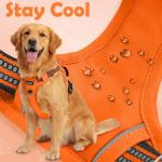 Adjustable No Pull Dog Harness with Reflective Straps