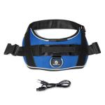 Personalized Blue LED No-Pull Dog Harness