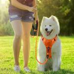 BARKBAY Heavy Duty No Pull Dog Harness