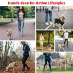 Hands-Free Leash and Collar for Small Dogs