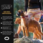 EzyDog Double Up Dog Collar with ID Attachment